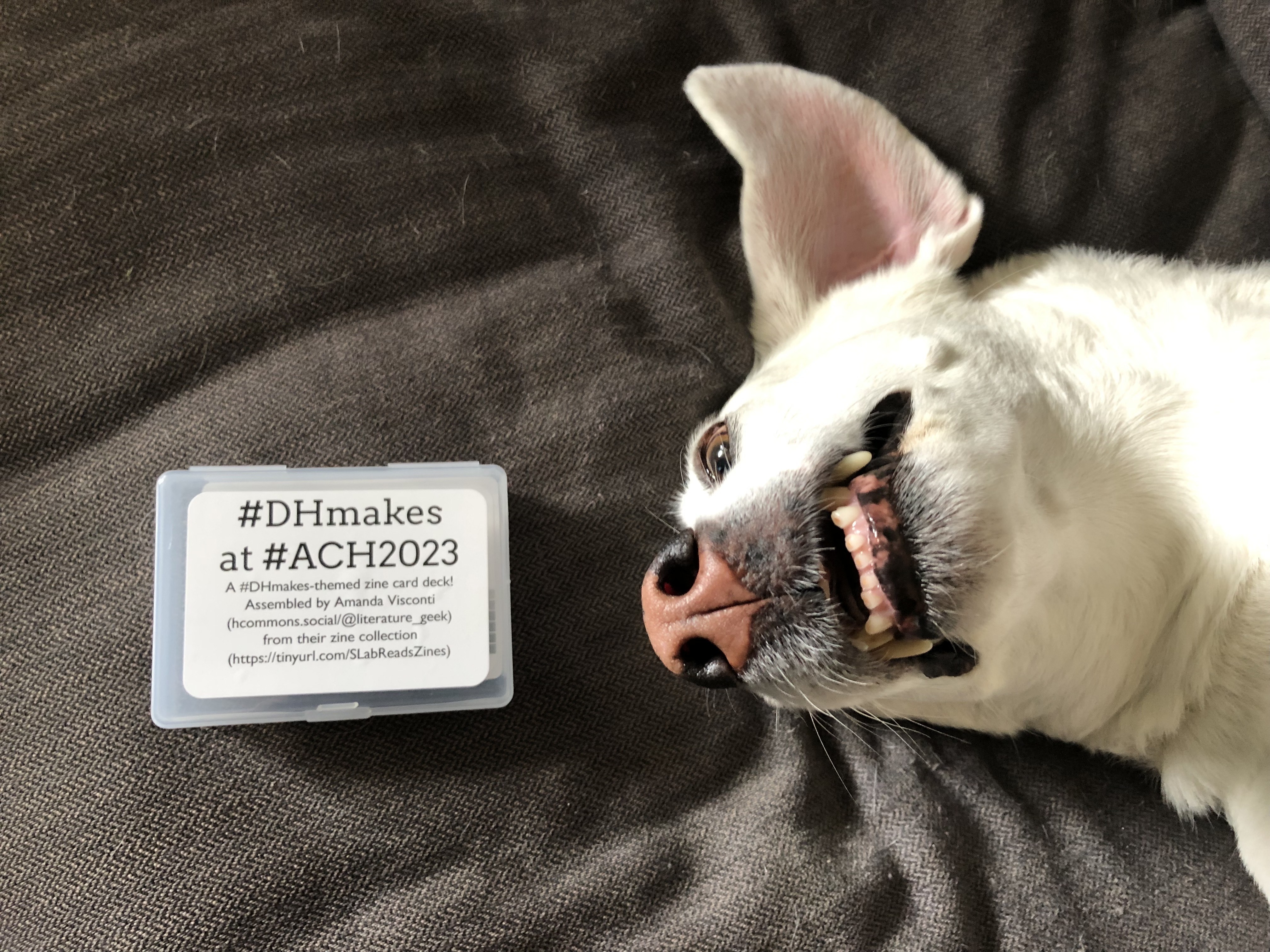 Photo of a plastic card deck case with a cover that reads "#DHmakes at #ACH2023. A #DHmakes-themed zine card deck! Assembled by Amanda Visconti (hcommons.social/@literature_geek) from their zine collection (https://tinyurl.comSLabReadsZines). The case is next to a dog's head; the dog is upside down and grinning.