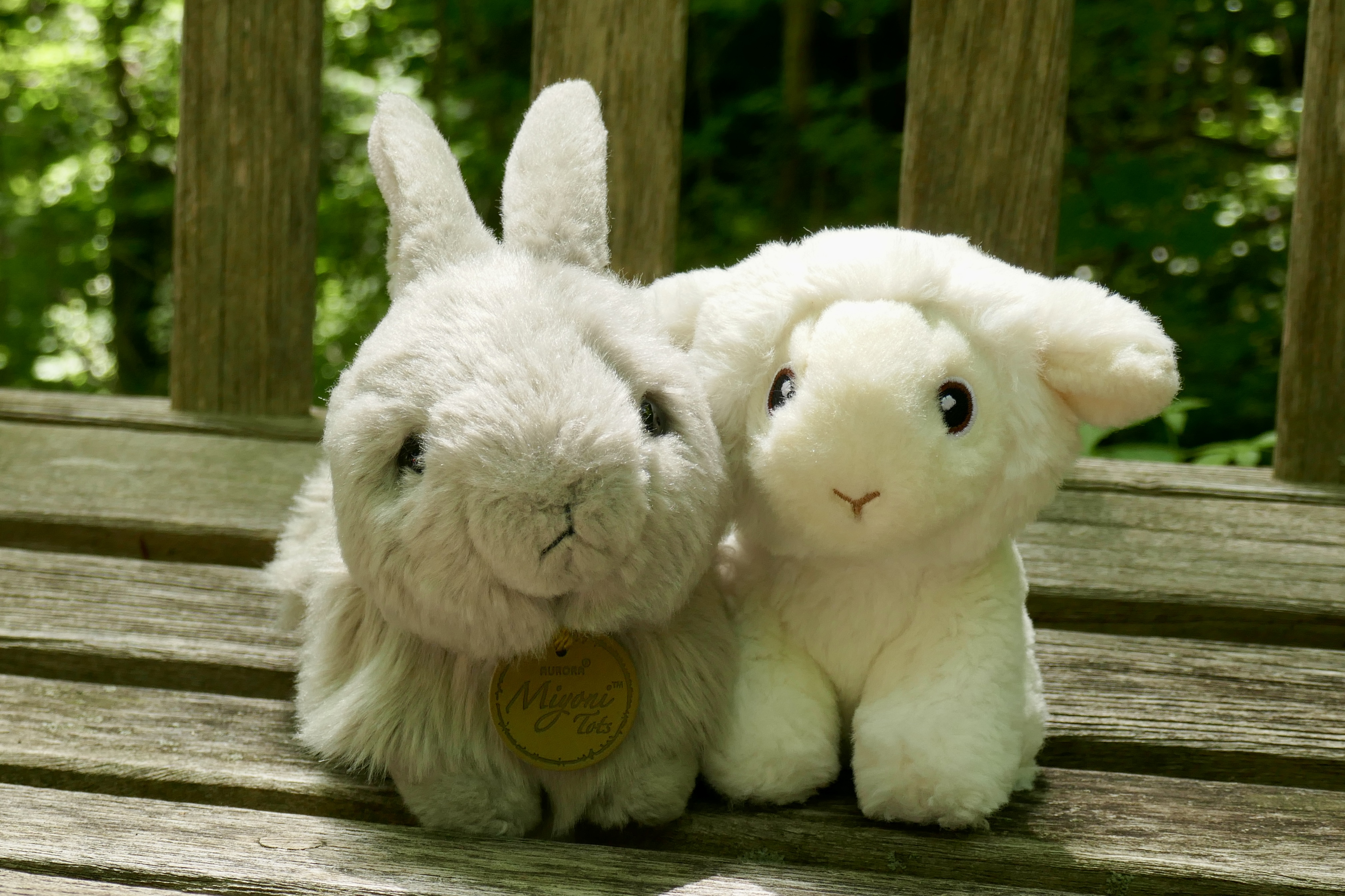 Photo of stuffed bunny and lamb